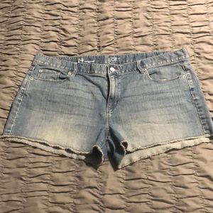 LOFT sz 14 jean shorts